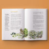 The Flavours of Andalucia - Image 3