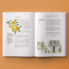 The Flavours of Andalucia - Image 7