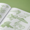 Herbs, Spices and Flavourings - Image 10