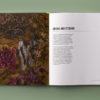 Seaweed - Image 2