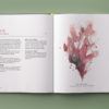 Seaweed - Image 4