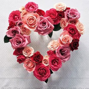 23.01.19 Valentine rose heart